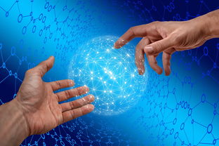 kaiyun sports-德国仰泳项目技术稳定提升，德国仰泳项目技术稳定提升方案