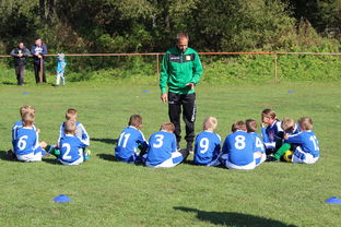 乌鸦防线表现完美，对手几乎无解，乌鸦攻击什么