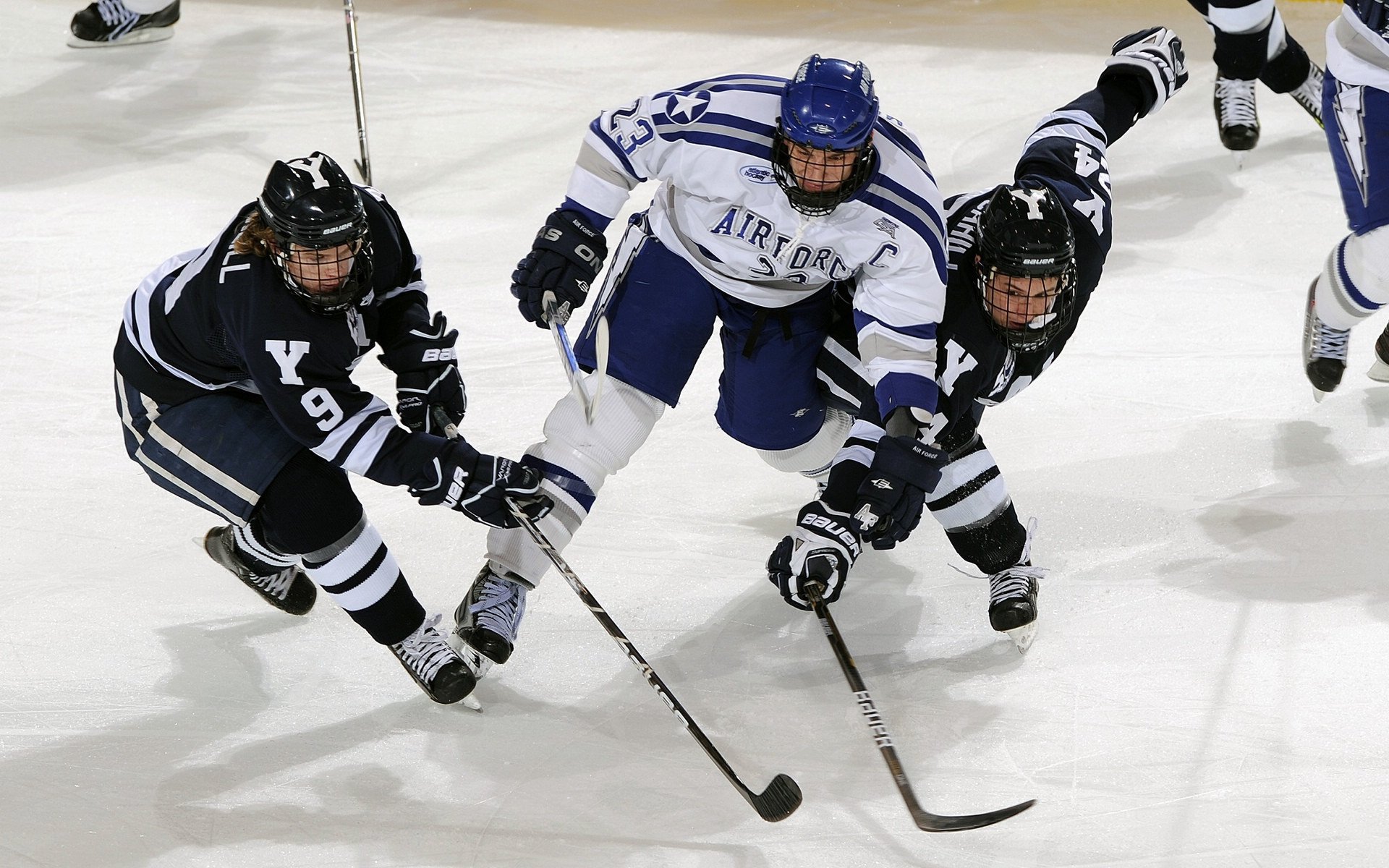 乌鸦防线表现完美，对手几乎无解，乌鸦攻击什么